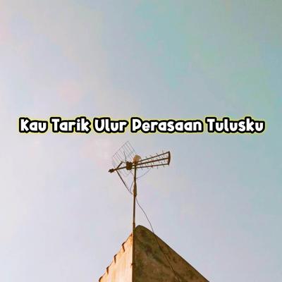 DJ Kau Tarik Ulur Perasaan Tulusku Kepadamu's cover