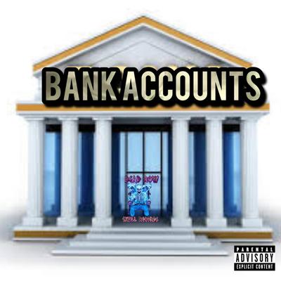 Bank Accounts's cover