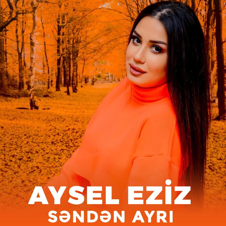 Aysel Eziz's avatar image