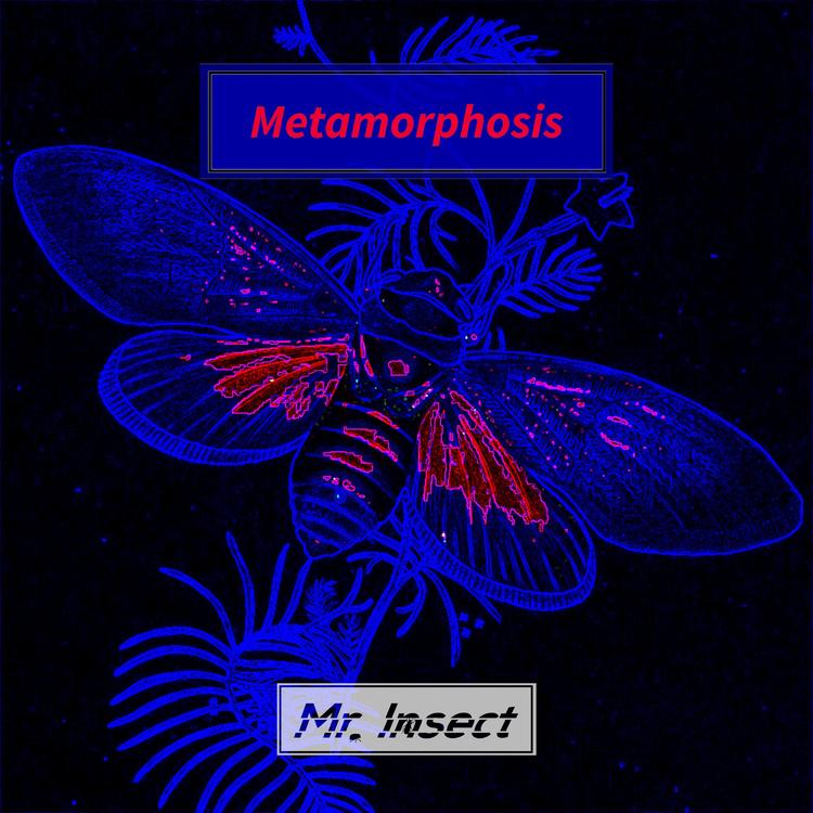 Mr. Insect's avatar image