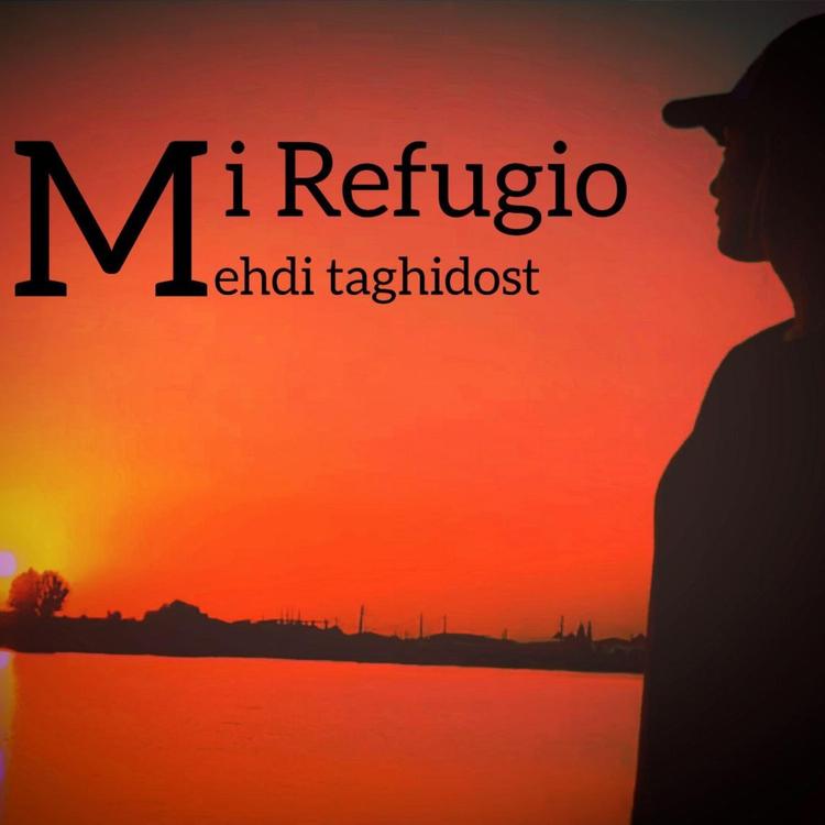 Mehdi Taghidost's avatar image