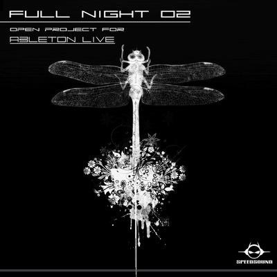 Full Night 2 (Original Mix)'s cover