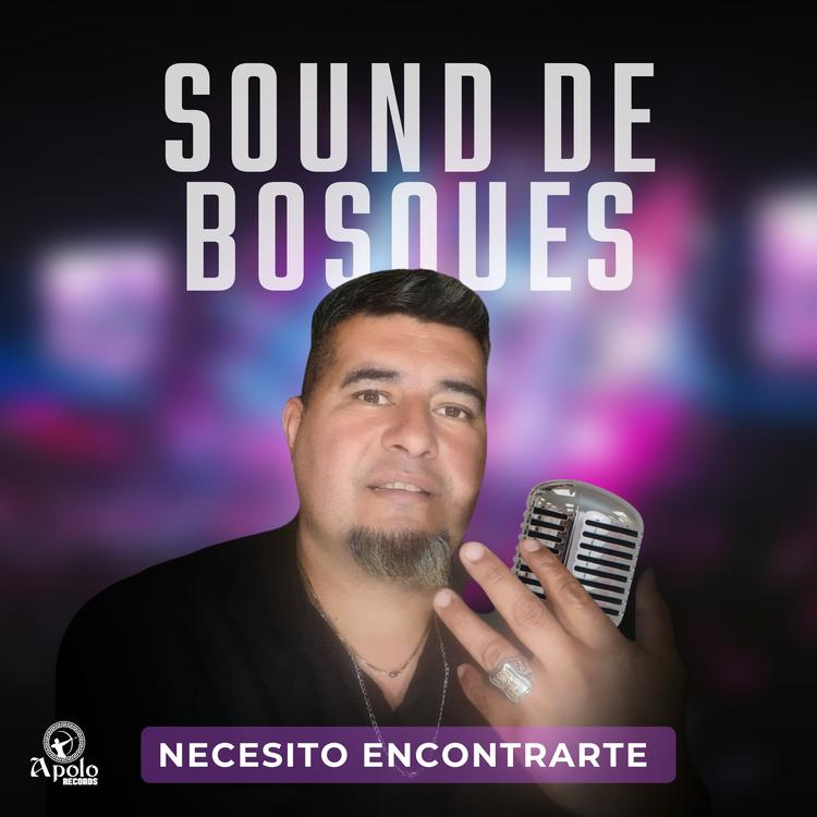 Sound de Bosques's avatar image