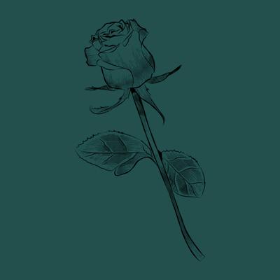 Roses's cover