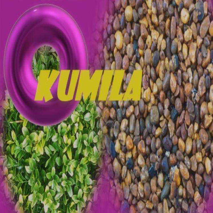 KUMILA's avatar image