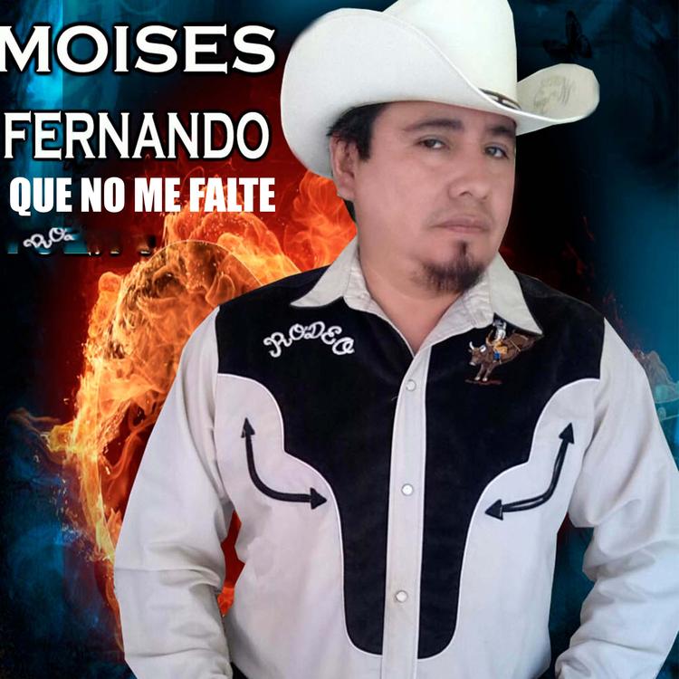 Moises Fernando's avatar image
