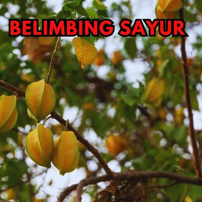 Belimbing Sayur's cover