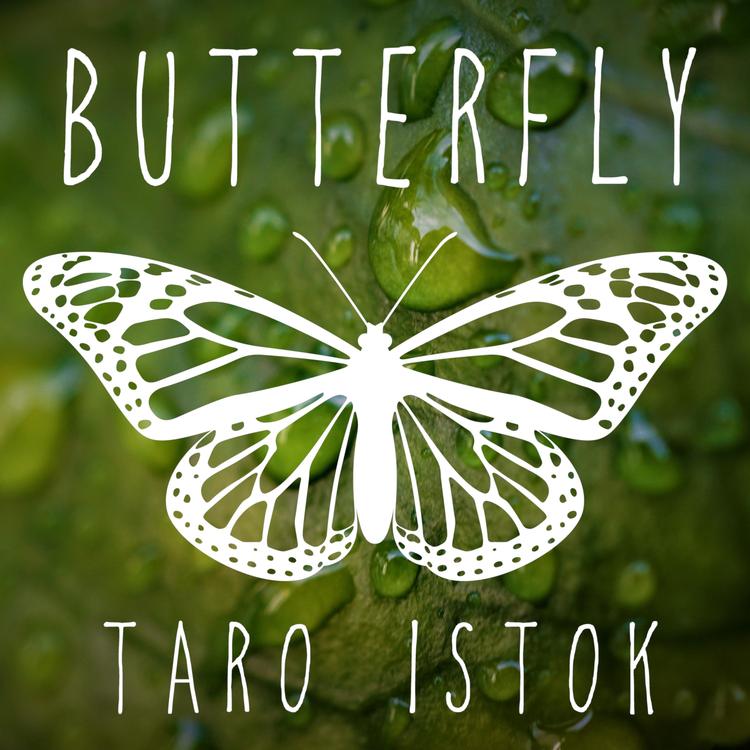 Taro Istok's avatar image