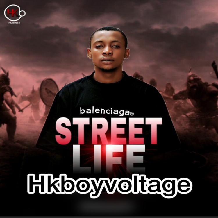 Hkboyvoltage's avatar image