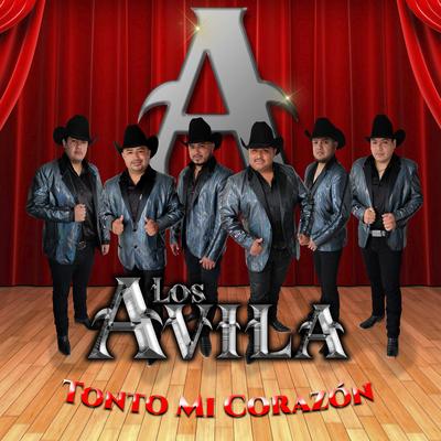 Tonto Mi Corazon's cover