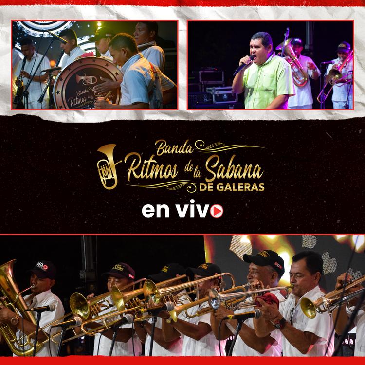 Banda Ritmos de la Sabana de Galeras's avatar image