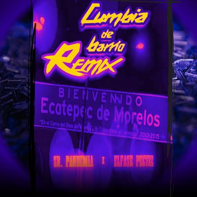 Cumbia de Barrio (Remix)'s cover