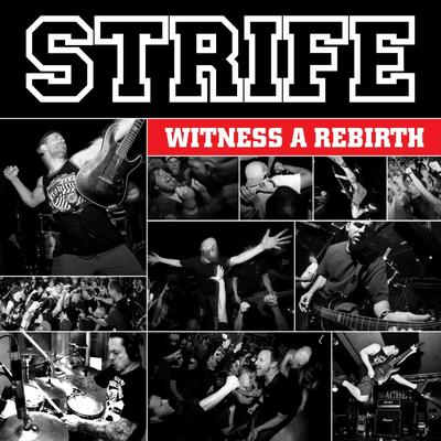Torn Apart By Strife's cover