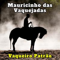 Mauricinho das Vaquejadas's avatar cover