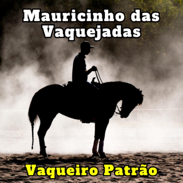 Mauricinho das Vaquejadas's avatar image