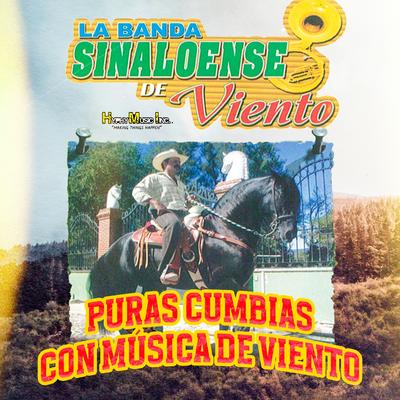 Puras Cumbias Con Musica de Viento's cover