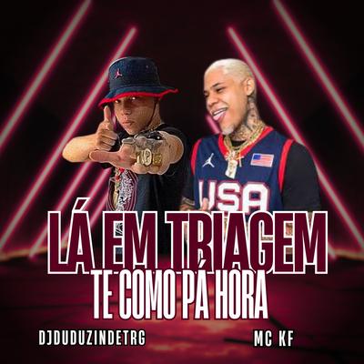DJ DUDUZIN DE TRIAGEM's cover