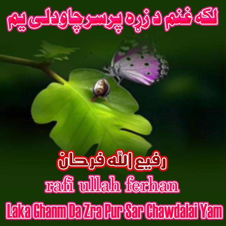Rafi Ullah Ferhan's avatar image