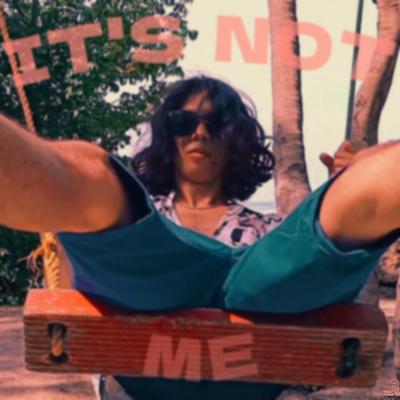 It's Not Me's cover