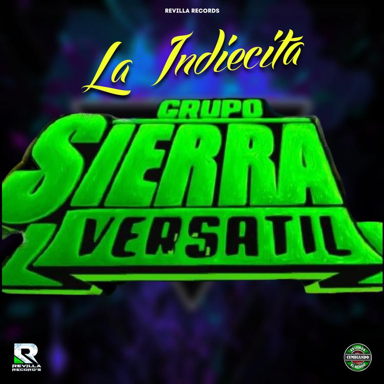 GRUPO SIERRA VERSATIL's avatar image