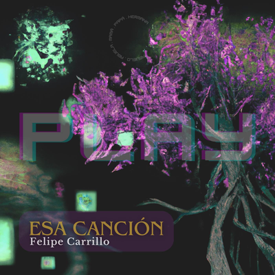 Esa Canción's cover