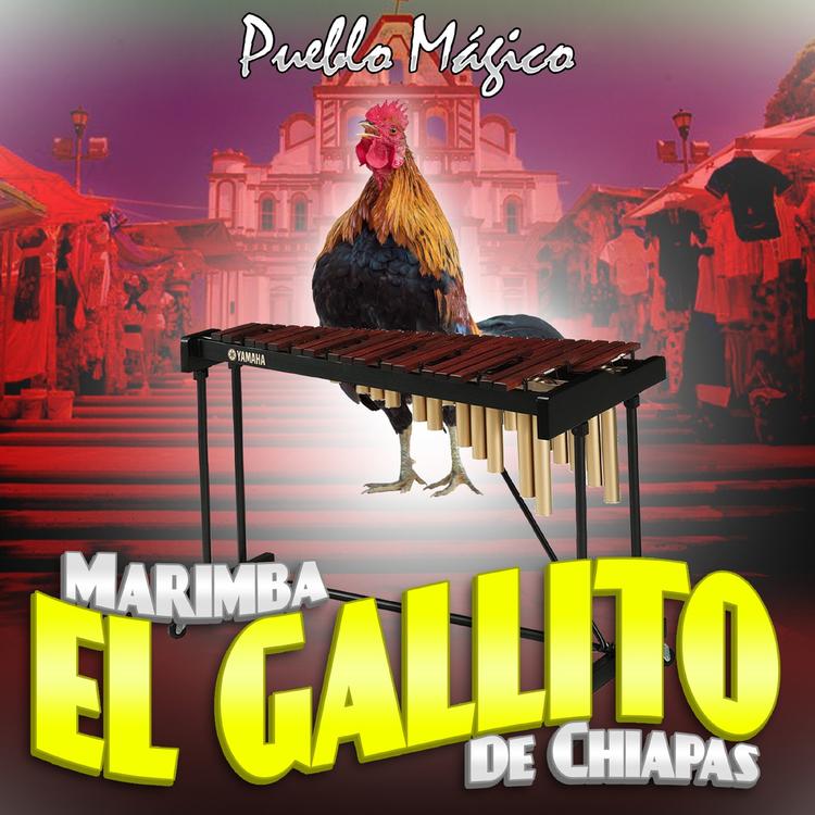 Marimba El Gallito De Chiapas's avatar image