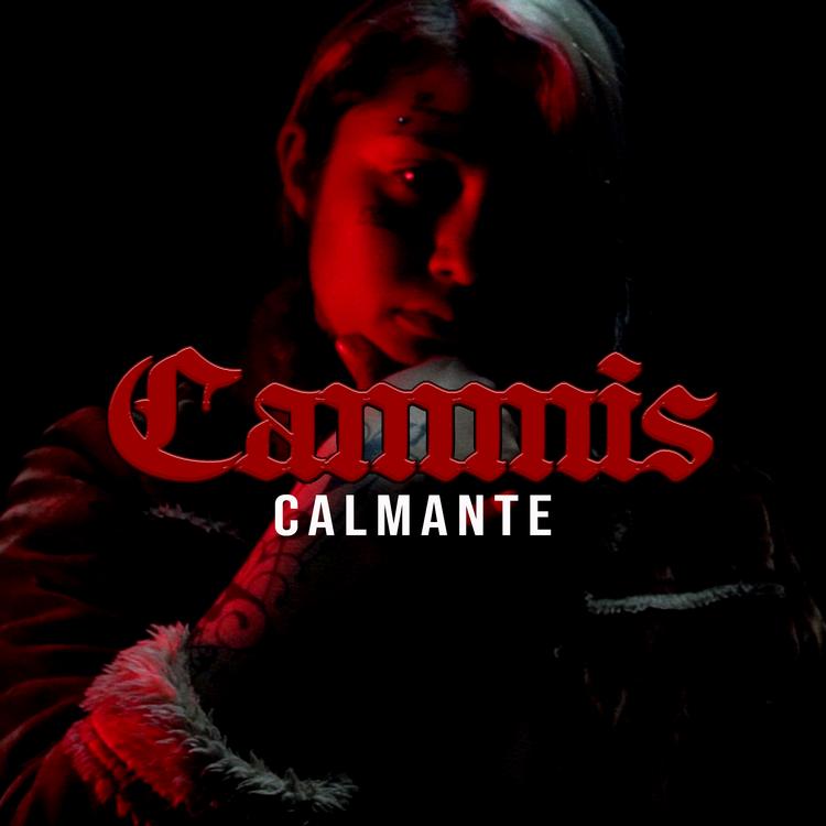 CAMMIS's avatar image