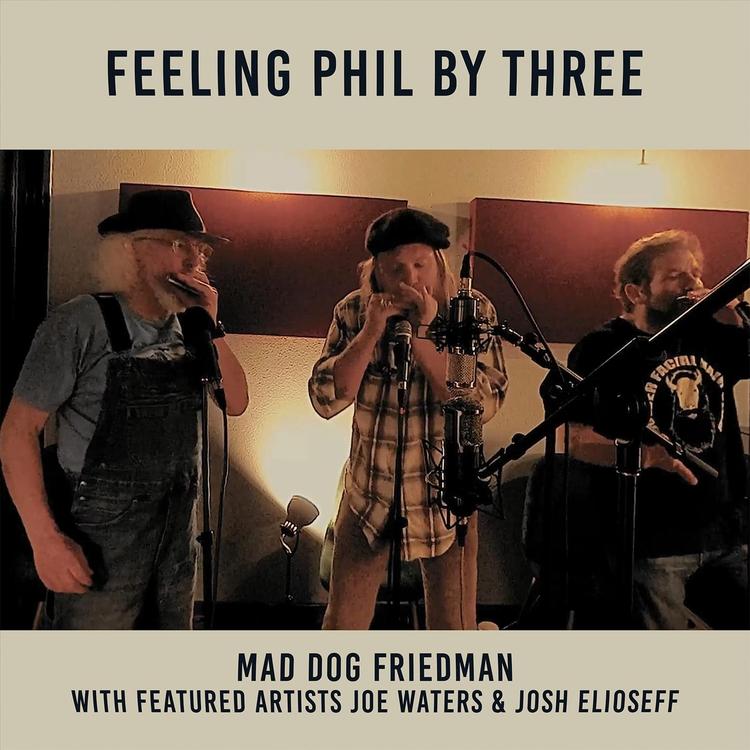 Mad Dog Friedman's avatar image