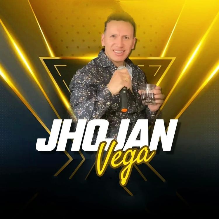 JHOJAN VEGA's avatar image