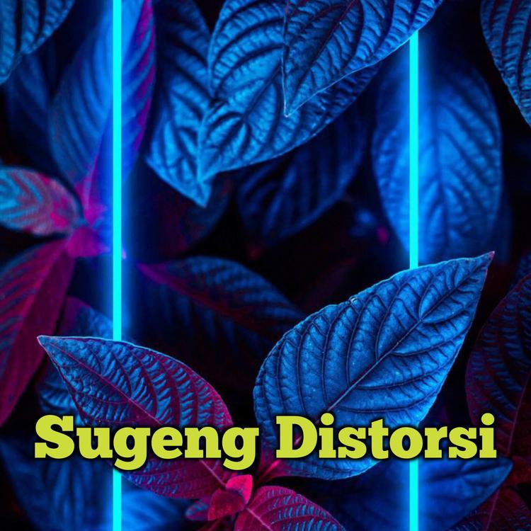 Sugeng Distorsi's avatar image