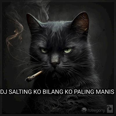 DJ SALTING KO BILANG KO PALING MANIS's cover
