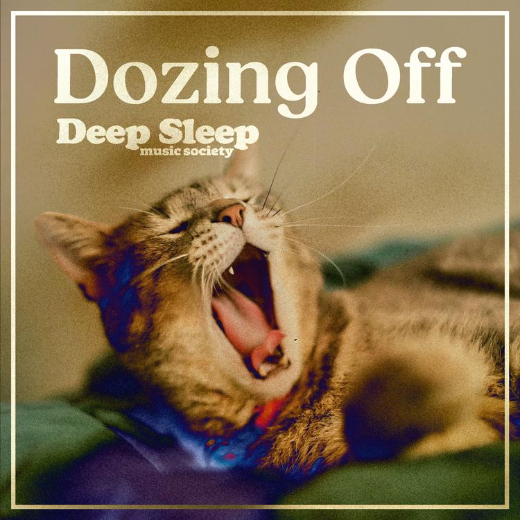 Deep Sleep Music Society's avatar image