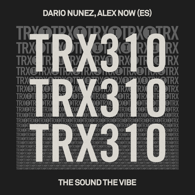 The Sound The Vibe By Dario Nunez, Alex Now (ES)'s cover