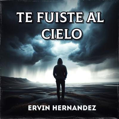 Te Fuiste Al Cielo's cover