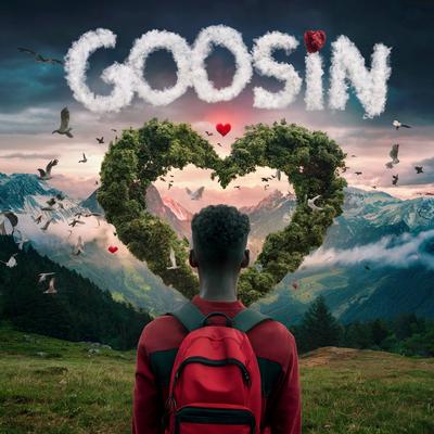 GOODSIN's cover