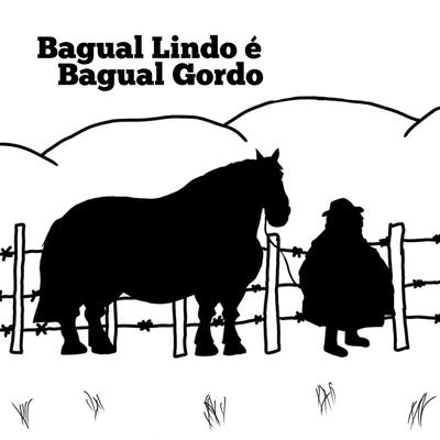 Bagual Lindo é Bagual Gordo's cover