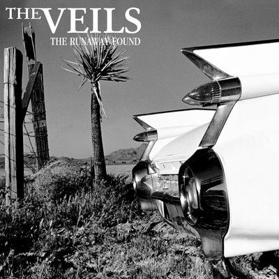 Vicious Traditions By The Veils's cover