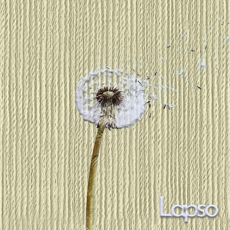 Lapso's avatar image