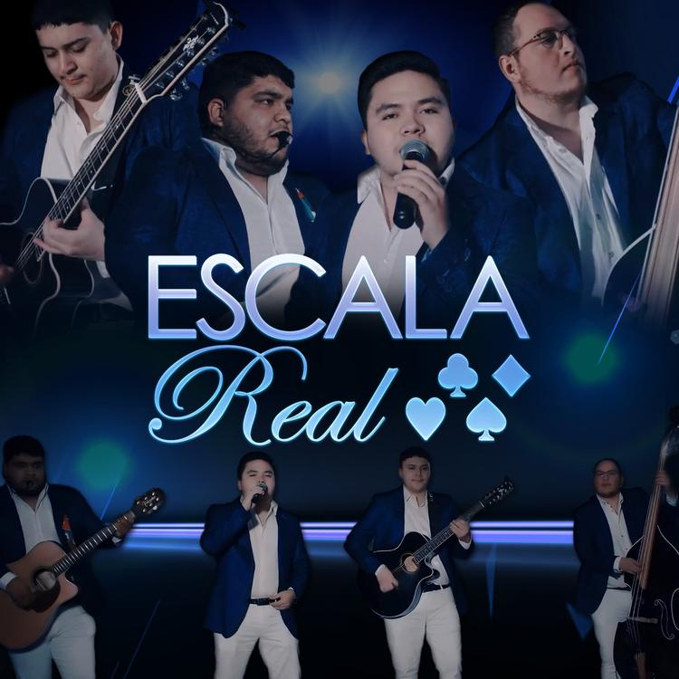 Escala Real's avatar image