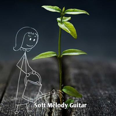 Soft Melody Guitar's cover