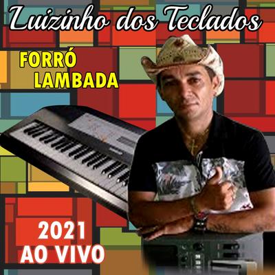 Violeiro feliz de Goiás - Ao Vivo By Luizinho dos Teclados's cover