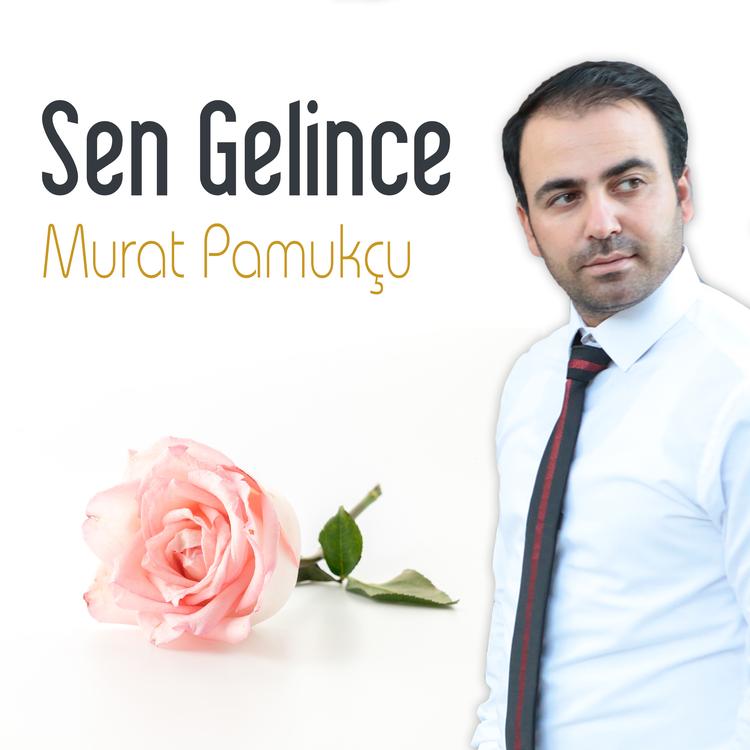 Murat Pamukçu's avatar image