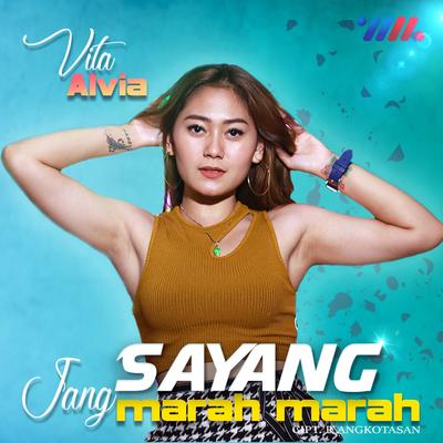 Sayang Jang Marah Marah By Vita Alvia's cover