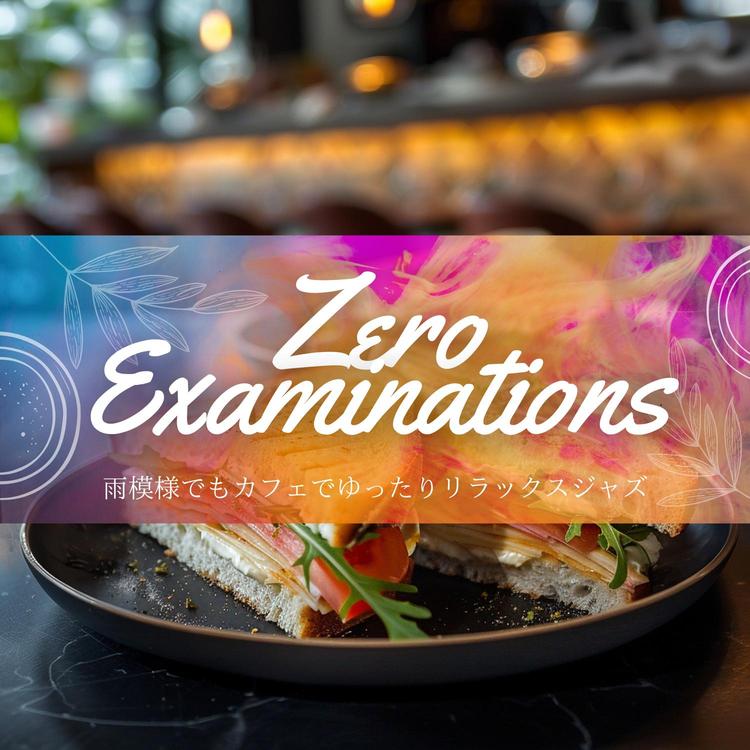 Zero Examinations's avatar image