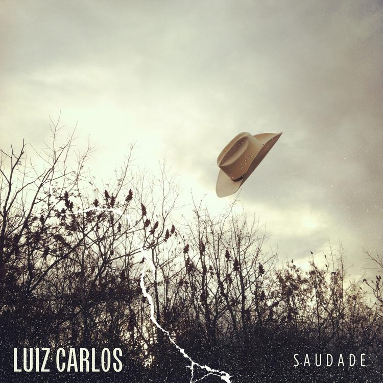 Luiz Carlos's avatar image