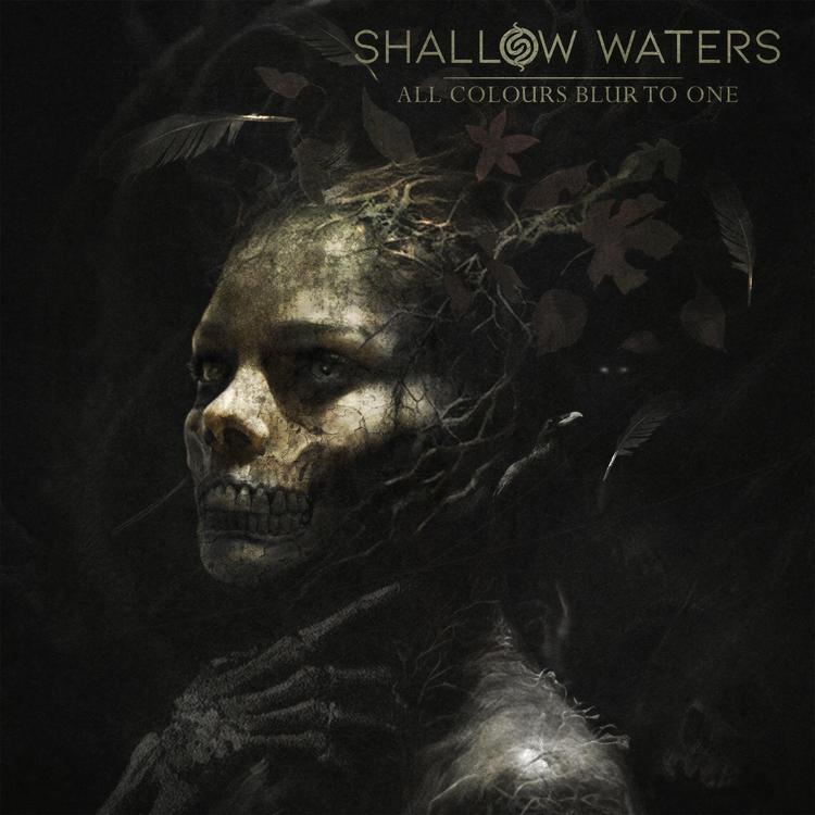 Shallow Waters's avatar image