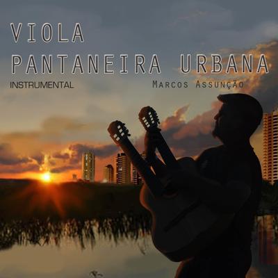 Som de Viola (Instrumental)'s cover