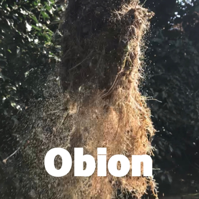 Obion's cover