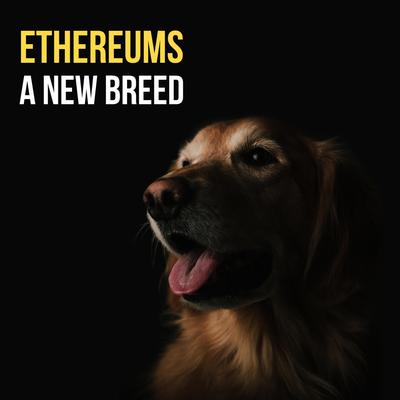 Ethereums's cover