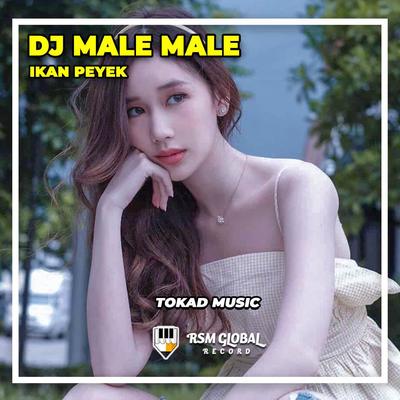 DJ Male Male Ikan Peyek's cover